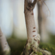 Image for article titled 44 Gnarly Photos of Wood